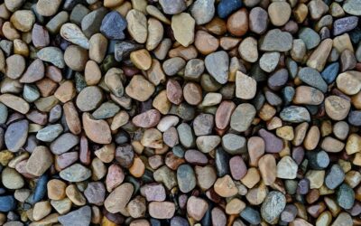 Schottergarten oder Staudenbeet? Nachhaltige Alternativen zu Steingärten mit Mehrwert – für München, Ebersberg und Erding