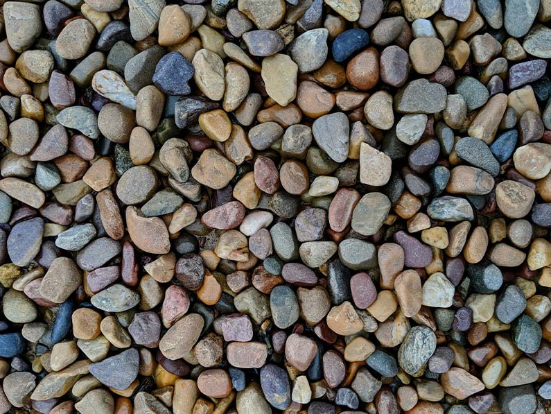 Schottergarten oder Staudenbeet? Nachhaltige Alternativen zu Steingärten mit Mehrwert – für München, Ebersberg und Erding