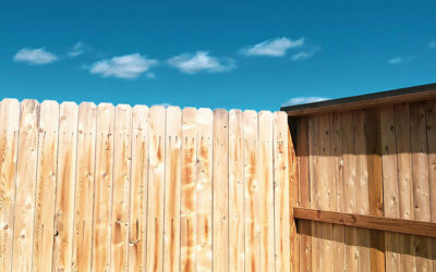 Sichtschutz im Garten – die besten Lösungen für München und Umgebung