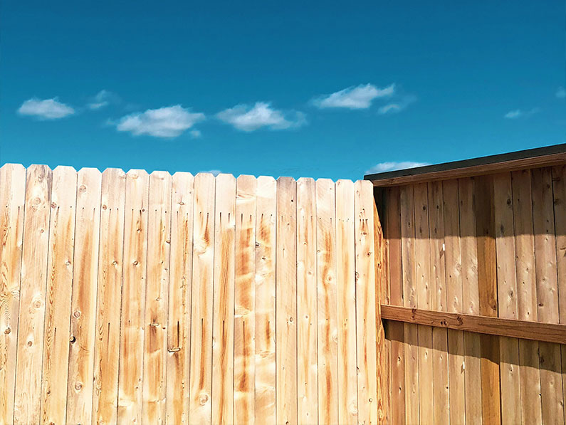 Sichtschutz im Garten – die besten Lösungen für München und Umgebung