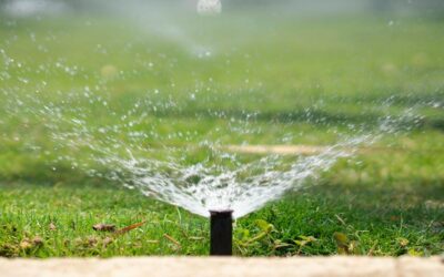 Smart Gardening – Wie moderne Technik die Gärten in München & Umgebung verändert